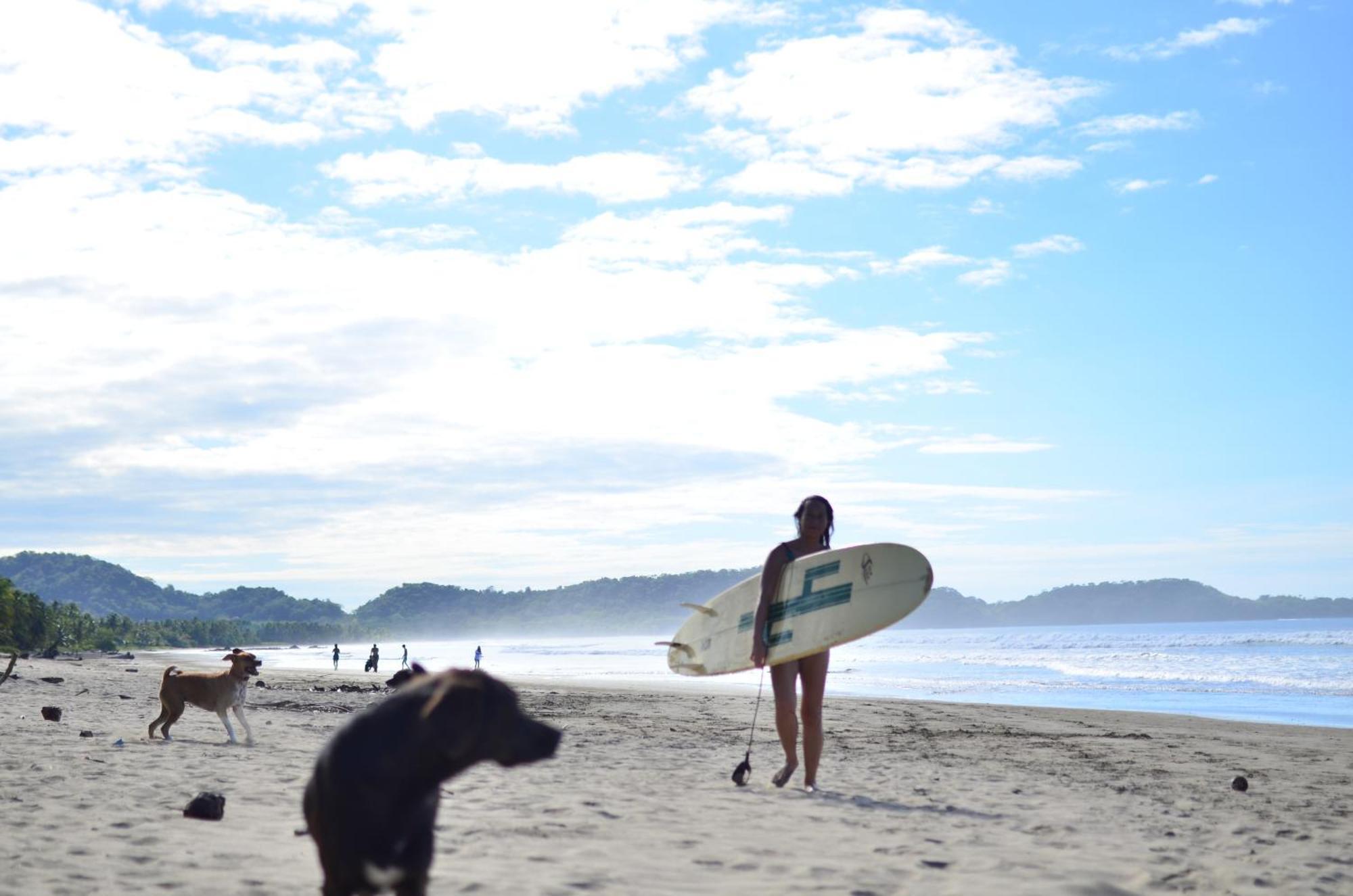 بيت شباب Alouatta Playa Coyote San Francisco de Coyote المظهر الخارجي الصورة
